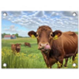 Koe - Weide - Bloemen tuinposter los doek klein -3d