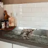 Heerser van de Mist Inductie beschermer vinyl 3mm klein -sfeer3