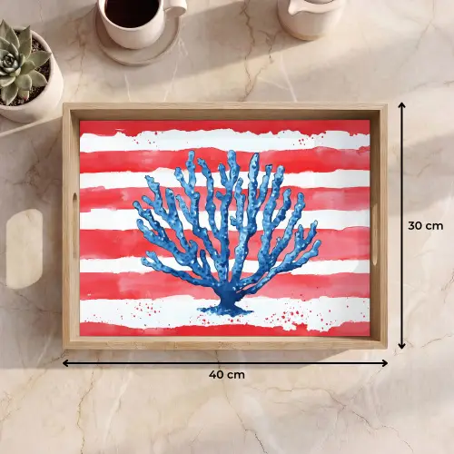 Koraal - Verfstructuur - Rood - Blauw Dienblad Rechthoek middel -USP_Formaat