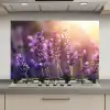 Lavendelbloemen - Paars - Zonlicht keuken achterwand spatscherm klein -3d_website