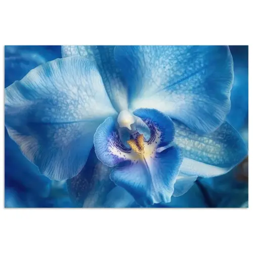 Blauw - Orchidee - Elegeant poster papier klein -3d