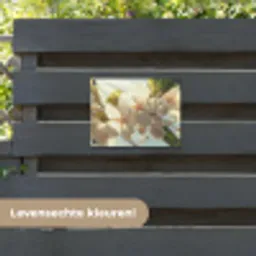 Bloesems - Wit - Zonnestralen -  Bloemblaadjes tuinposter los doek klein -sfeer3