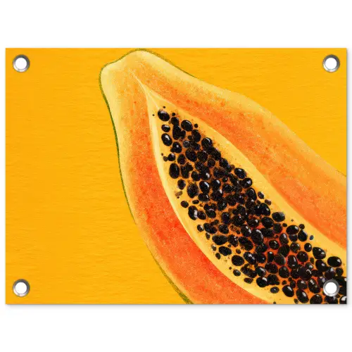 Papaja - Oranje - Topisch tuinposter los doek klein -3d