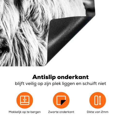 Koe - Schotse hooglander - Zwart - Wit - Dier - Natuur - Wild Inductie beschermer vinyl 3mm klein -zzzzzzz-td-onderkant