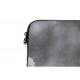 Roodborstje - Gedroogde bloem - Sneeuw - Winter - Vertederend laptophoes neopreen klein -detail