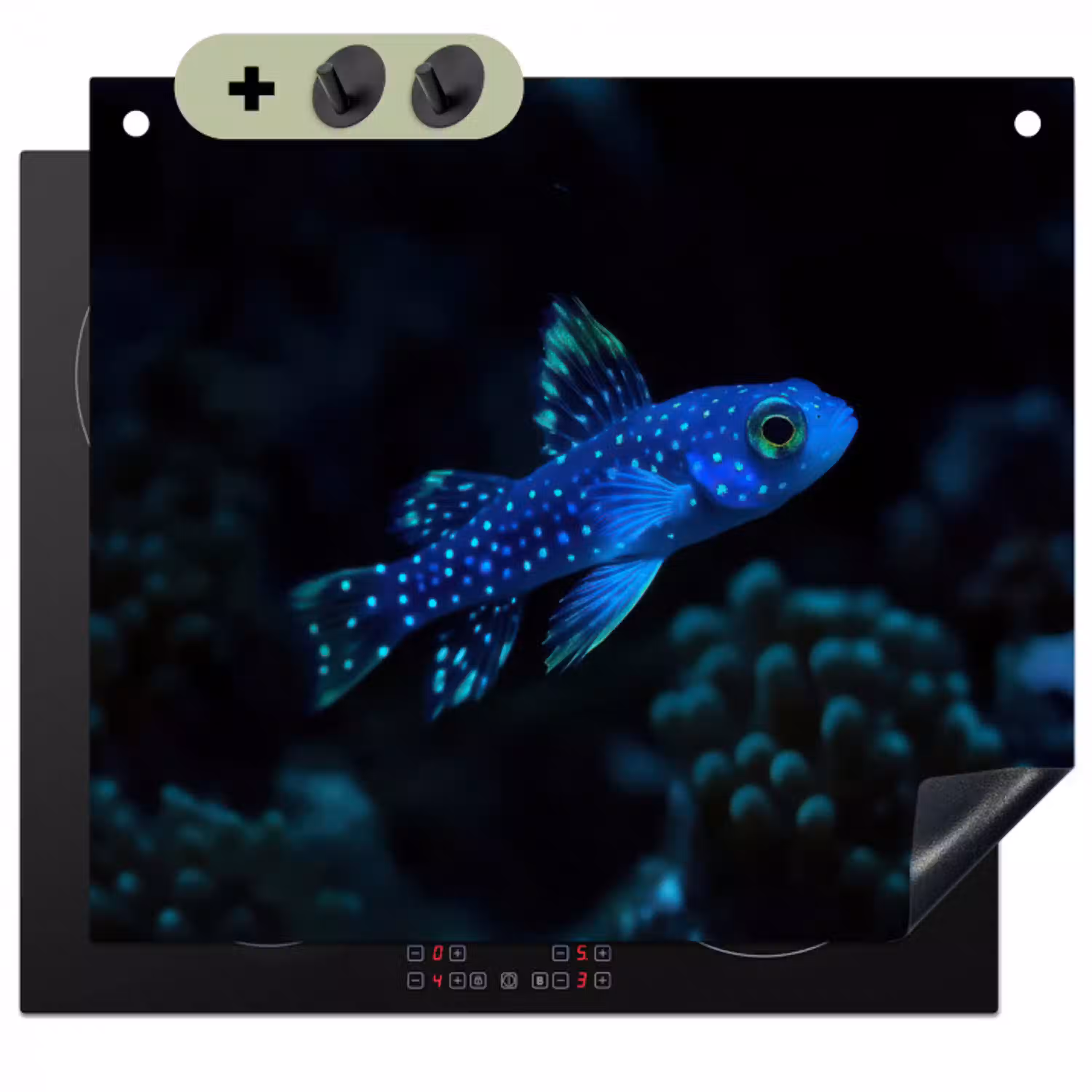 Vis - Stippen - Koraal - Blauw Inductie beschemer met haakjes klein -3d
