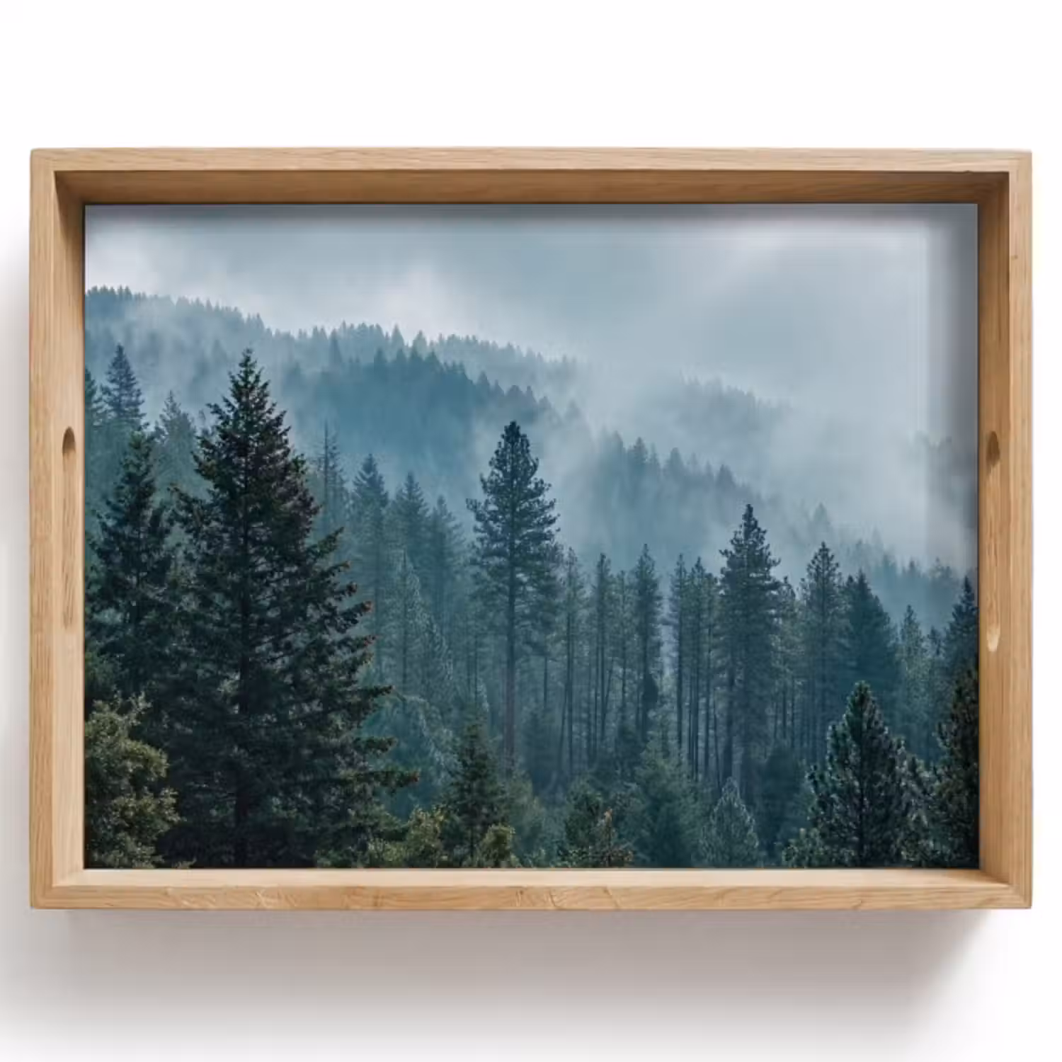 Dienblad - Naaldwoud - Bergen - Mist