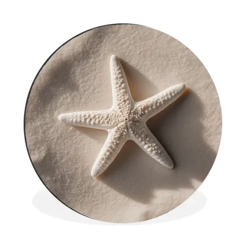 Strand - Zeester - Zand - Beige Wandcirkel aluminium klein -3d