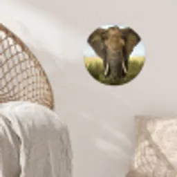 Olifant - Natuur - Gras - Dieren - Landschap Wandcirkel behangsticker klein -sfeer4
