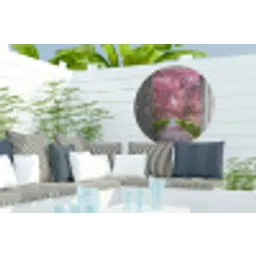 Sakura - Doorkijk - Boom - Kersenbloesem Wandcirkel tuinposter met ringen klein -buiten2