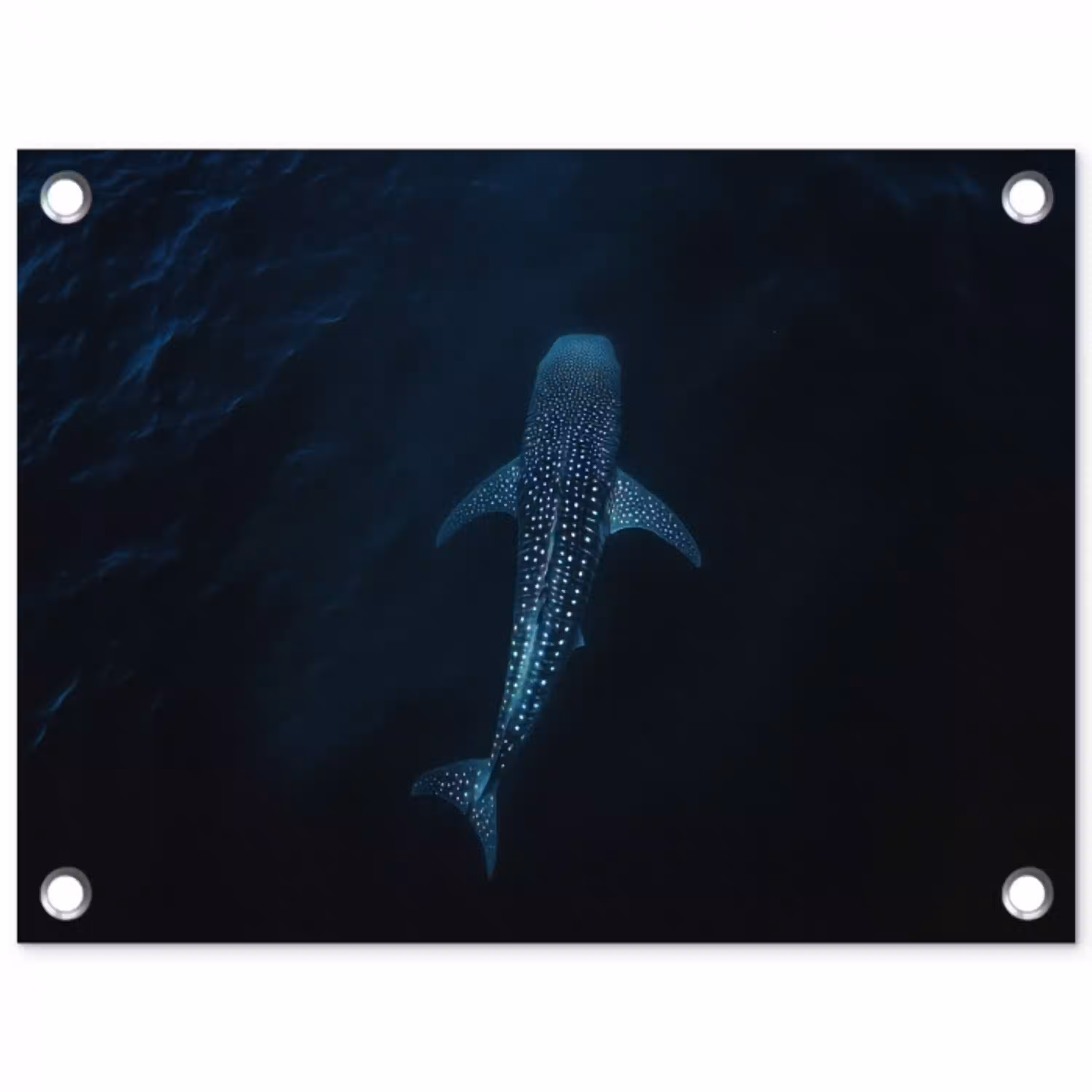 Oceaan - Walvishaai - Donkerblauw - Vlekken tuinposter los doek klein -3d