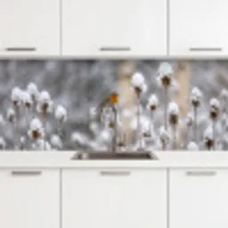 Roodborstje - Gedroogde bloem - Sneeuw - Winter - Vertederend keuken achterwand 2 middel -3d