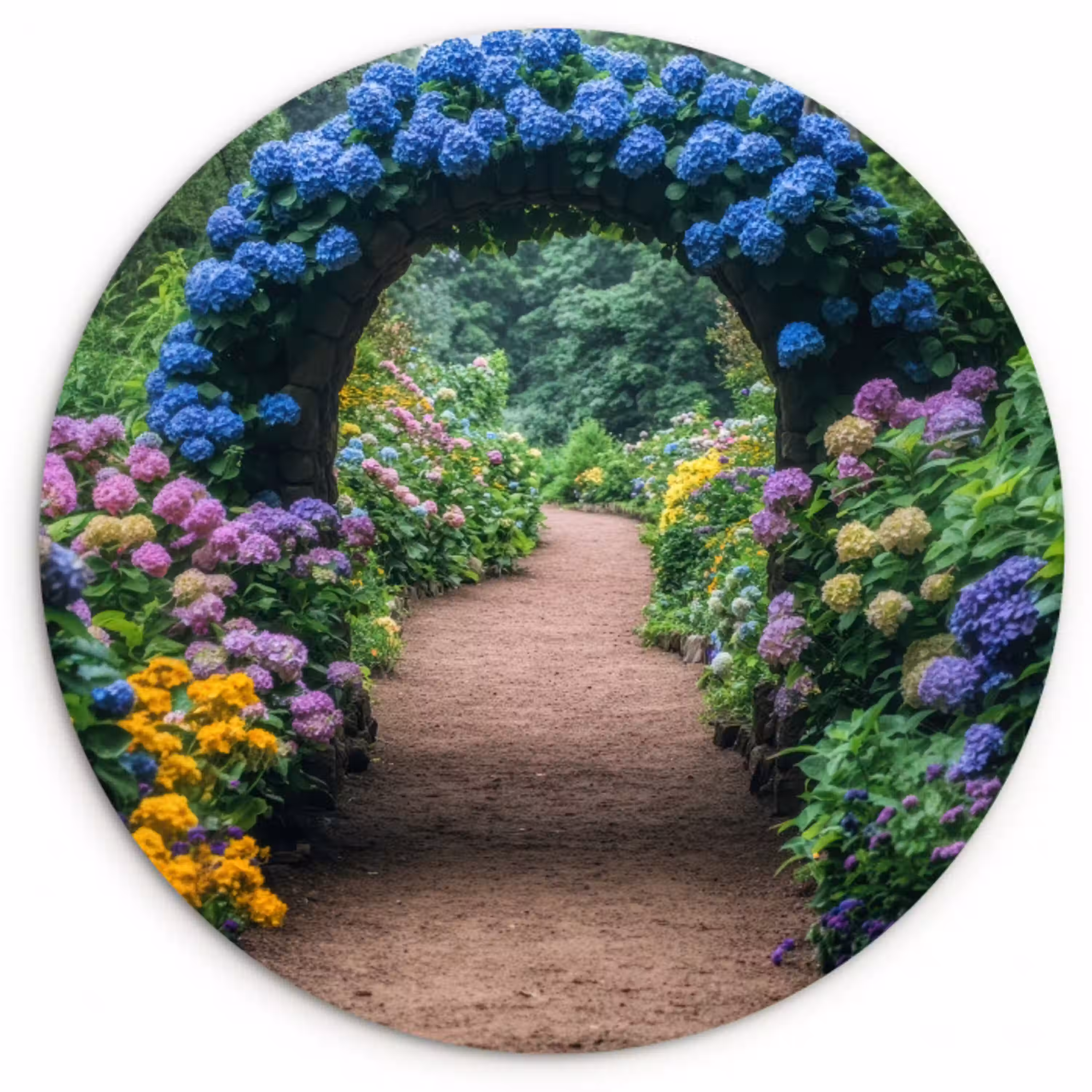Doorkijk - Bloemen - Hortensia - Pad Wandcirkel plexiglas klein -3d