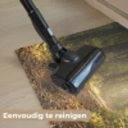 Zonlicht - Bospad - Bomen Deurmat klein -reinigen_NL