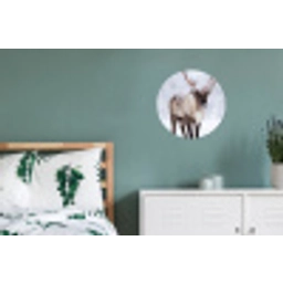 Rendier - Gewei - Toendra - Sneeuw - Wild Wandcirkel aluminium klein -slaapkamer