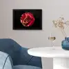 Bloem - Roos - Rood - Zwart fotolijst zwart zonder passe partout klein -sfeer4