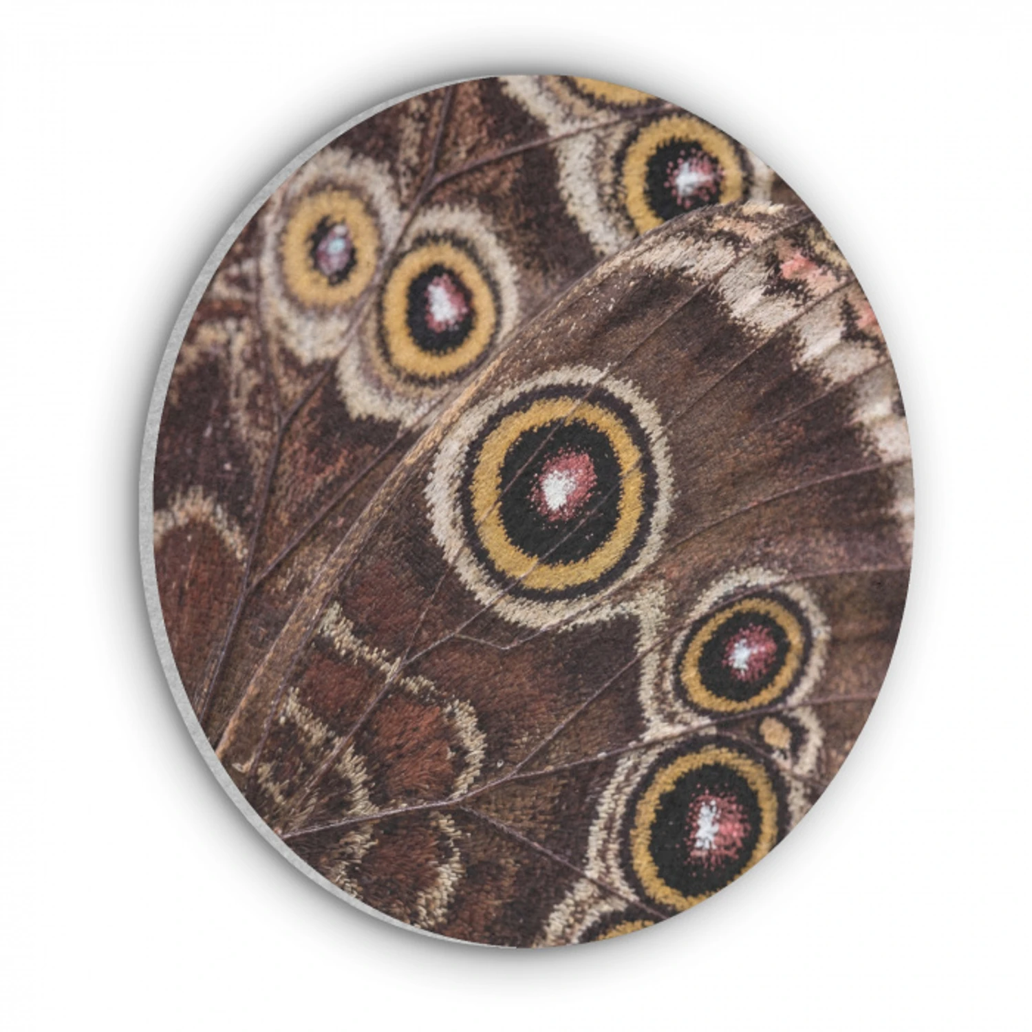 Vlinder - Vleugel - Abstract Akoestische PET Vilt - Rond klein -3d
