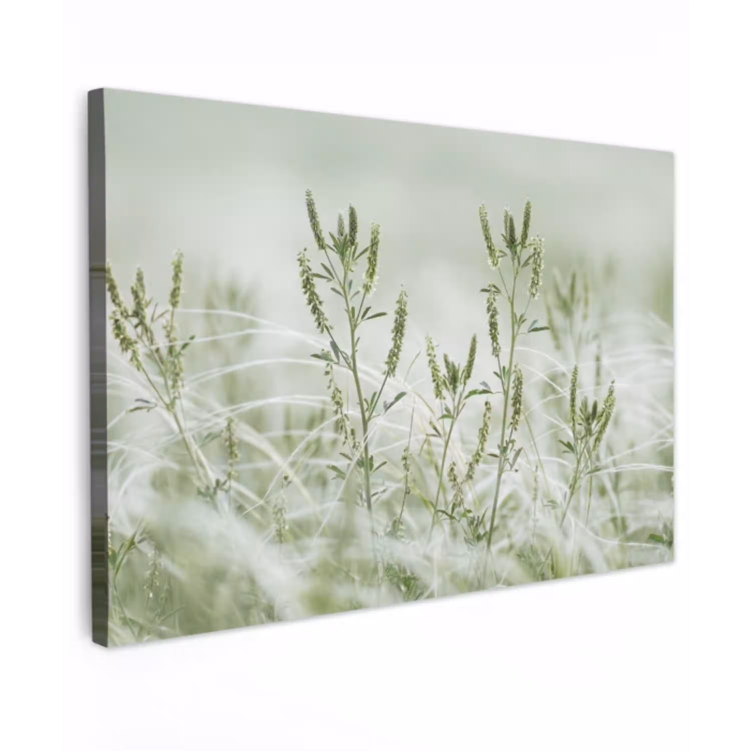 Grassen - Minimalistisch - Groen canvas 2cm klein -z3d