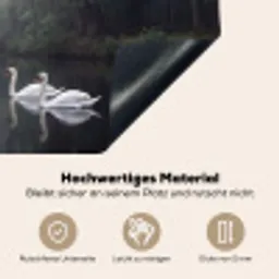Zwanen - Rivier - Bos Inductie beschemer met haakjes klein -ky-onderkant-de