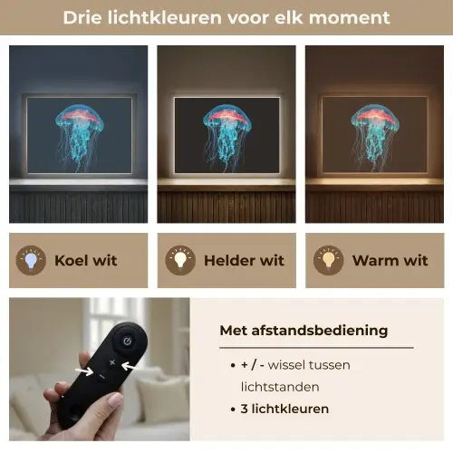 Kwal - Tentakels - Blauw - Licht Light Box met batterij (Wandlamp) middel -USP_lichtkleurNL