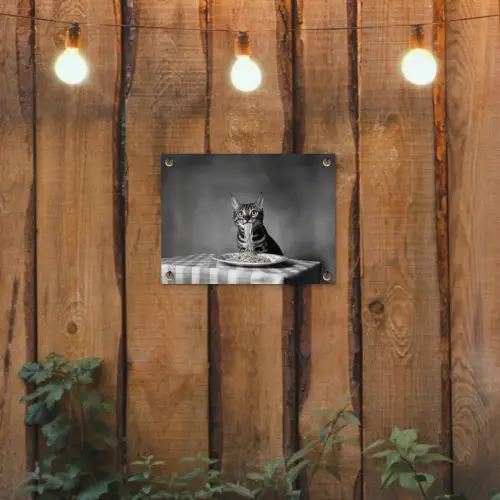 Bengaal - Kat - Tafelkleed - Zwart - Wit - Dier tuinposter los doek klein -sfeer1