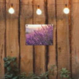 Lavendel - Paars - Zonlicht tuinposter los doek klein -sfeer1