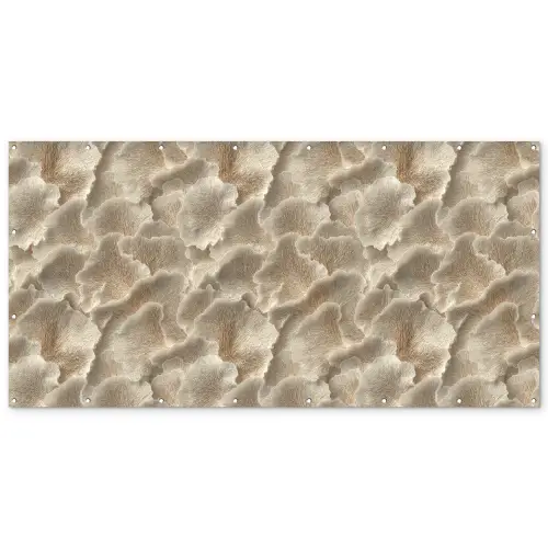 Waaierstructuren - Beige - Vezeltextuur Balkonbeschermer Duitsland klein 596 -zz_3d