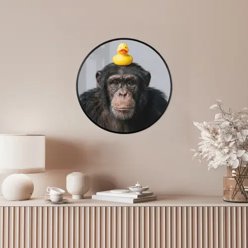 Chimpansee - Badeend - Grijs Fotolijst rond zonder passe partout klein -sfeer3