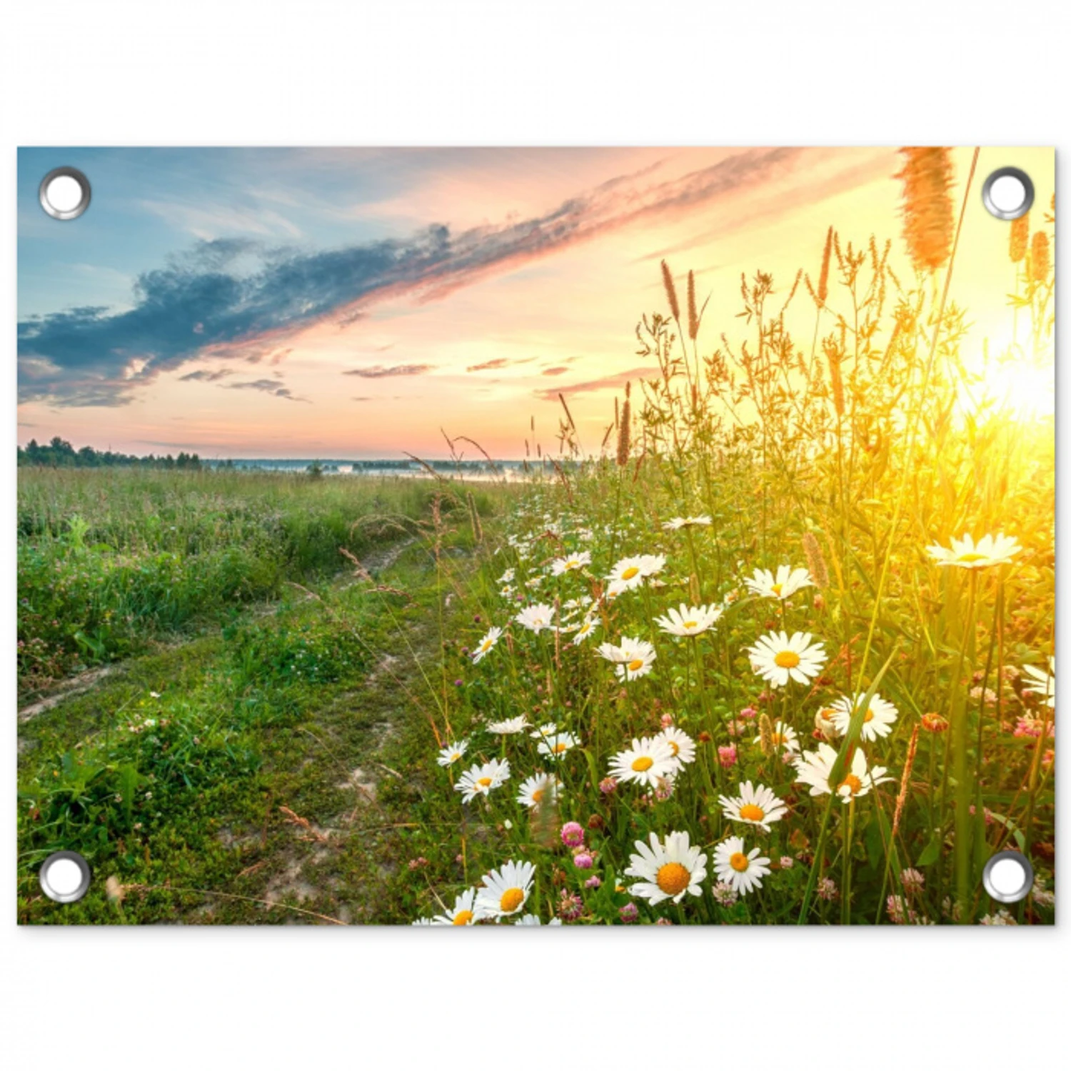 Wilde bloemen in de ochtendzon tuinposter los doek klein -3d