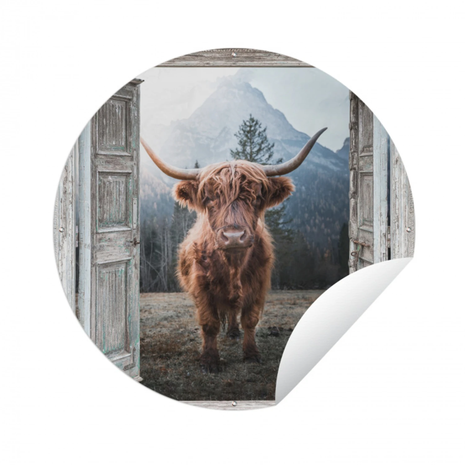 Schotse hooglander - Koe - Landelijk - Doorkijk Wandcirkel tuinposter met ringen klein -3d