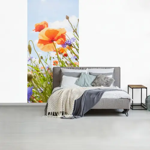 Bloemen - Klaproos - Lente - Natuur - Rood - Blauw fotobehang vinyl groot -slaapkamer