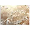 Wilde - Bloemen - Wit poster papier klein -3d