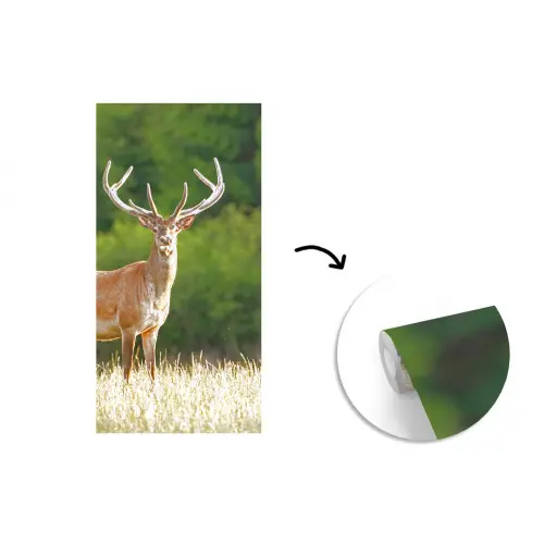 Hert - Gewei - Gras - Natuur - Dieren - Groen fotobehang vinyl groot -3d