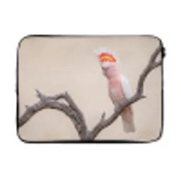 Papagaai - Tak - Roze laptophoes neopreen klein -3d