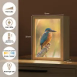 IJsvogel - Tak - Water - Kleurrijk - Levendig Light Box met kabel (Kinderlampje) klein -USP_FR