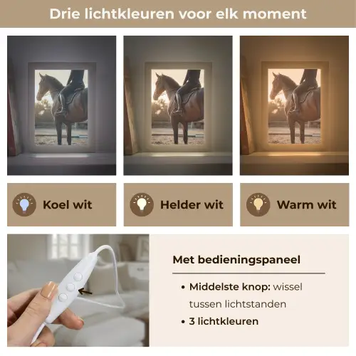 Harmonie - Ruiter - Zon Light Box met kabel (Tafellamp) klein -USP_lichtkleurNL