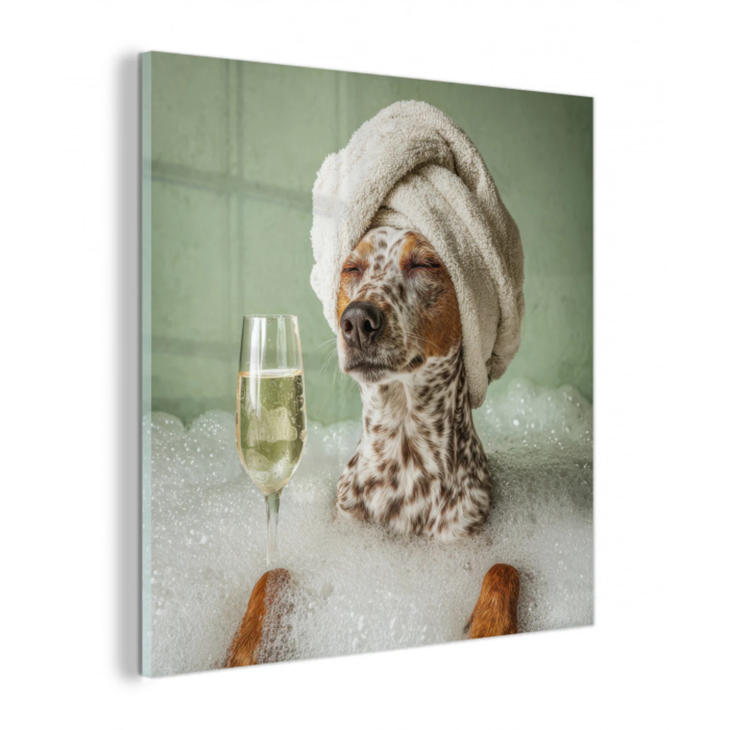Hond - Bad - Champagne - Handdoek plexiglas 5mm klein -z3d