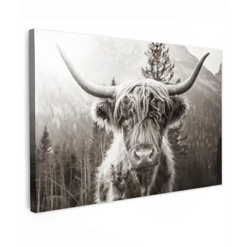 Schotse hooglander - Koe - Dieren - Zwart - Wit Tuinposter op houten frame 2 cm dik klein -3d