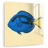 Blauw - Dory - Vis - Staartvin plexiglas 5mm klein -zzzproduct_nieuw