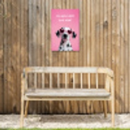 Hartjes - Hond - Valentijn - Roze Tuinposter op houten frame 2 cm dik klein -sfeer4