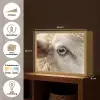 Schaap - Oog - Wit Light Box met batterij (Wandlamp) middel -USP_websiteoverzichtNL