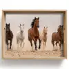 Kudde paarden - Stofwolk - Bruin - Zwart Dienblad Rechthoek middel -z3d_shopping