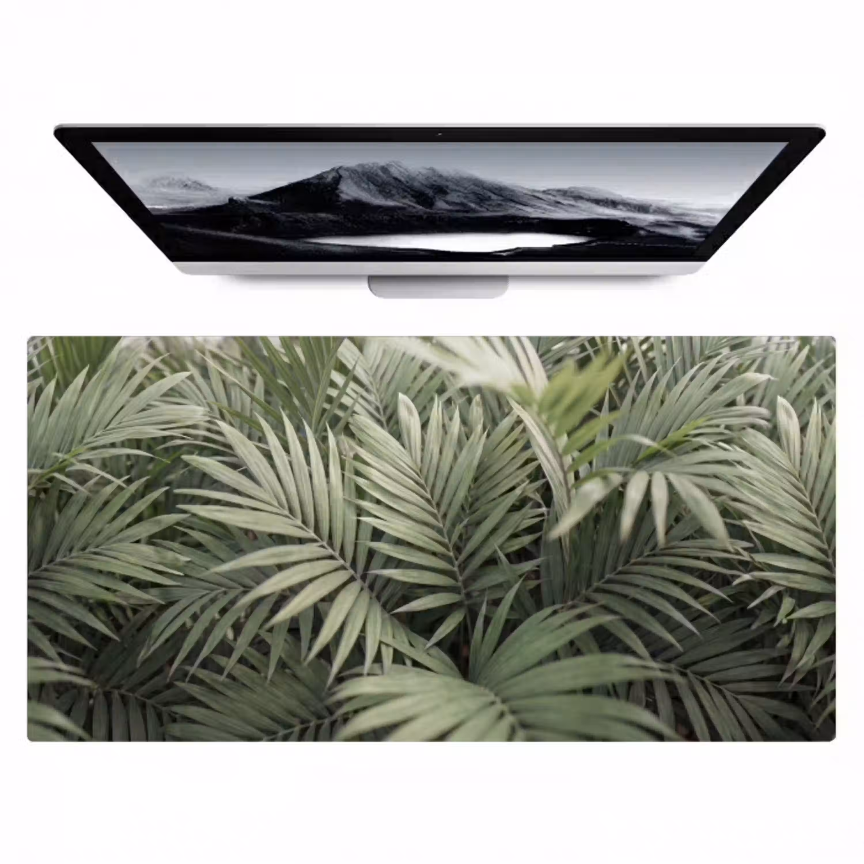 Plant - Palmbladeren - Natuur - Groen Muismat XXL klein -zzz3d
