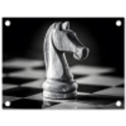 Paard - Hout - Schaalbord - Zwart tuinposter los doek klein -3d
