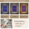 Why not - Blauw - Handgeschreven Light Box met kabel (Tafellamp) klein -USP_lichtkleurNL
