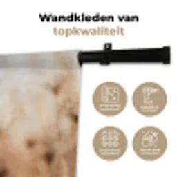 Schermbloem - Droogbloem - Winter - Beige - Minimalistisch Wandkleed katoen middel -sfeer2