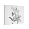 Lelies - Elegant - Zwart - Wit PET vilt klein -3d