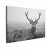 Hert - Mistig - Zwart - Wit canvas 2cm klein -z3d