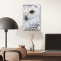 Sneeuwuil - Oog - Wildlife - Wit plexiglas 5mm klein -sfeer6