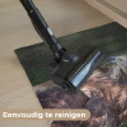 Buizerd - Roofvogel - Natuur - Bruin Deurmat klein -reinigen_NL